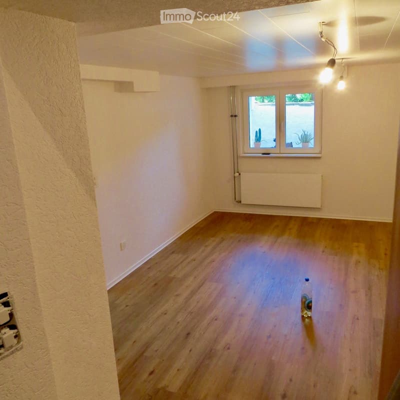 empty room, wooden floor, white walls, window with plants, radiator, power outlet