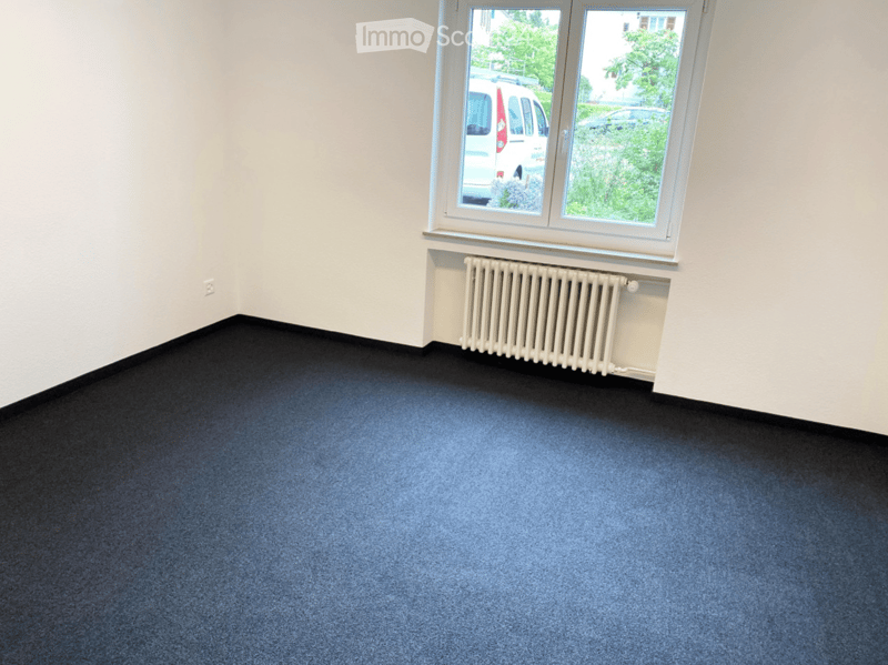 Empty room with blue carpet, white walls, a window with a radiator below, and a visible electrical outlet on the wall.