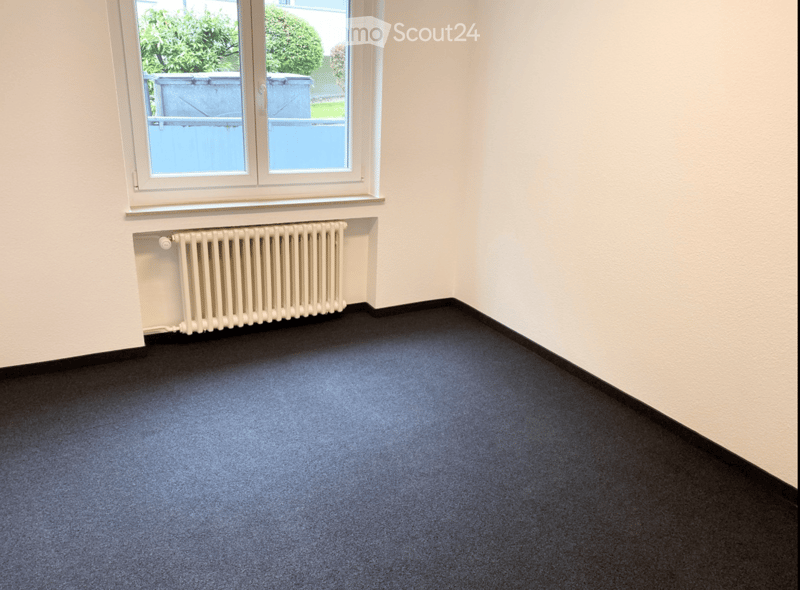 Empty room with light-colored walls, dark blue carpet, a white radiator, and a large window with a view of greenery outside.