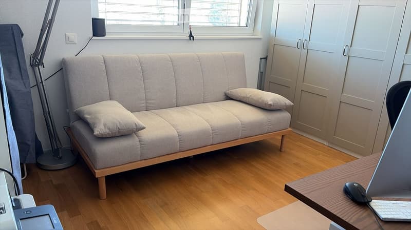 A modern, well-lit room with a wooden floor, a grey sofa with two pillows, a wooden desk with a laptop and mouse, a floor lamp, and a built-in wardrobe.