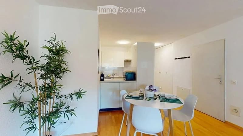 Modern, compact living space with a dining area and an open kitchen. Features a round dining table with four chairs, white kitchen cabinets, a microwave, and a decorative plant in the corner.