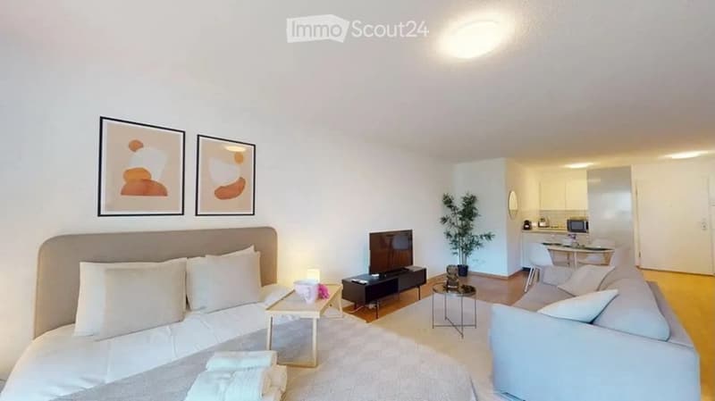 A modern, open-concept living and sleeping area with a sofa, coffee table, bed, nightstand, television, small plant, and a kitchen area with cabinets and a microwave.