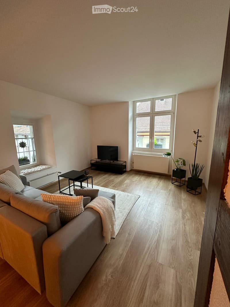 Modern living room with light wooden flooring, a grey sofa with cushions, a coffee table, a television on a stand, and a bench near the window.