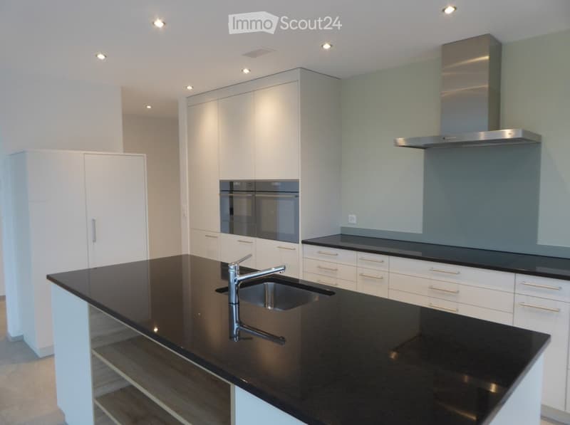 Modern kitchen with white cabinets, black countertops, stainless steel sink and faucet, built-in oven, and range hood.