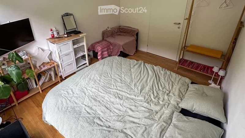 Cozy bedroom with a large bed, a small sofa, a mirror, a table with a plant, and a lamp. The room features wooden flooring and a closet with hanging clothes.