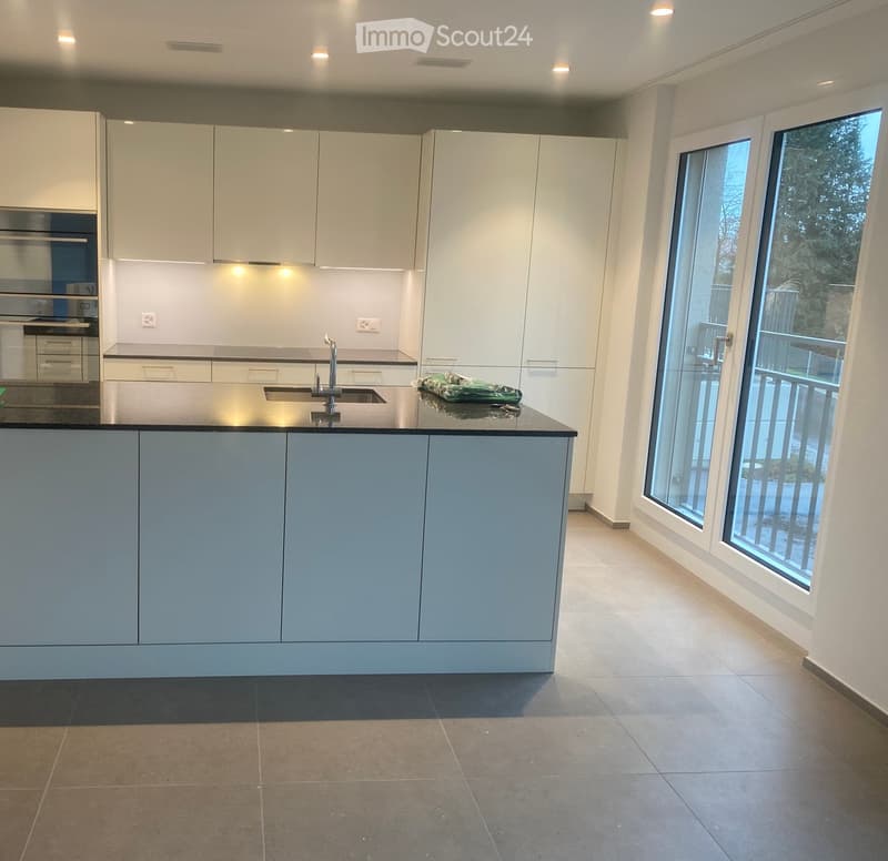 Modern kitchen with white cabinets, black countertop, and stainless steel appliances. Features a large island with sink and faucet, and a built-in oven. Large windows provide natural light.