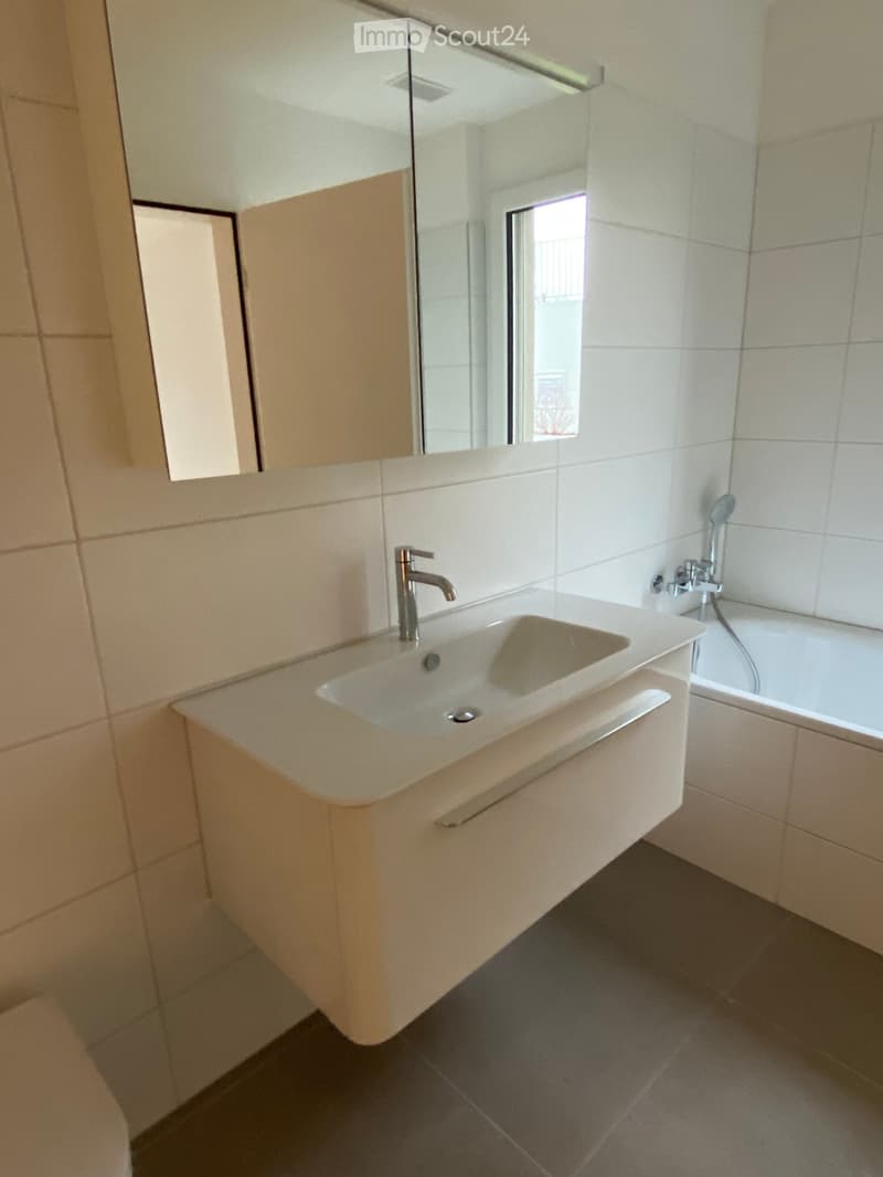Modern bathroom with a white sink, chrome faucet, bathtub, and large mirror above the sink.