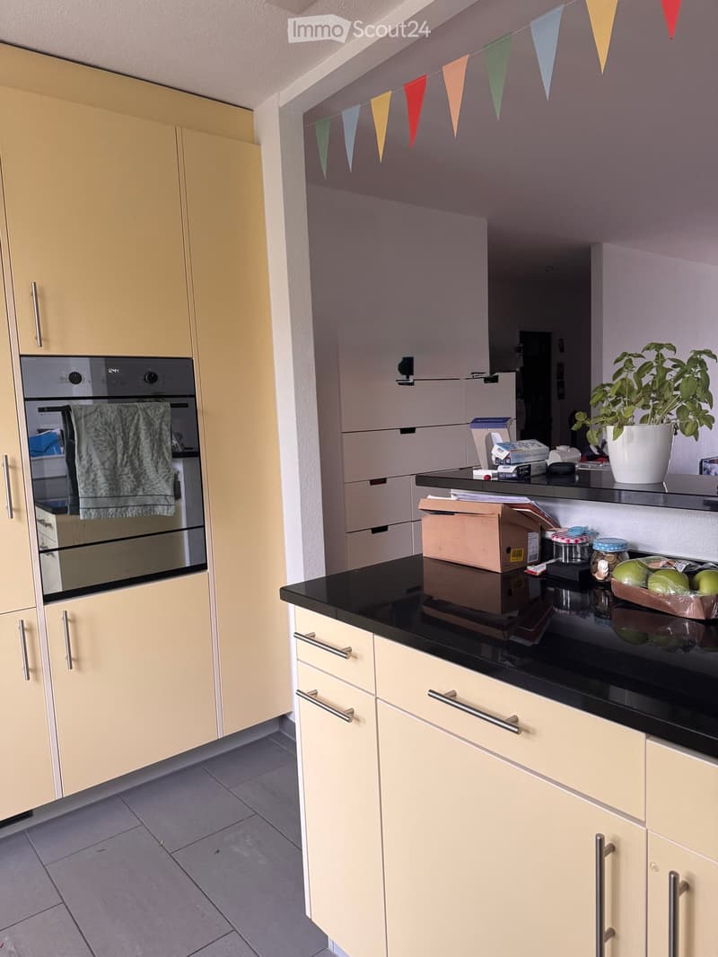 Modern kitchen with light-colored cabinets, black countertop, and stainless steel oven. A potted plant and various items are on the counter.