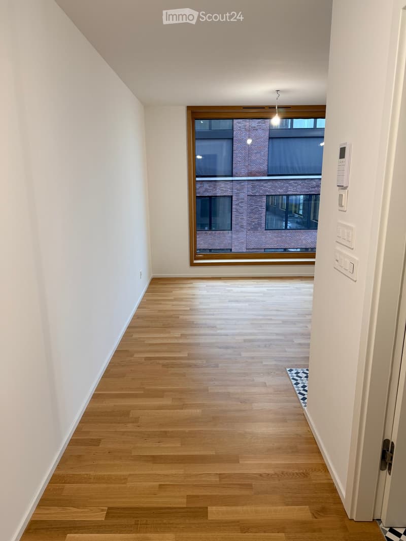 Empty hallway with light wooden flooring, white walls, and a large window showing a brick building outside. A small black and white rug is placed near the door.