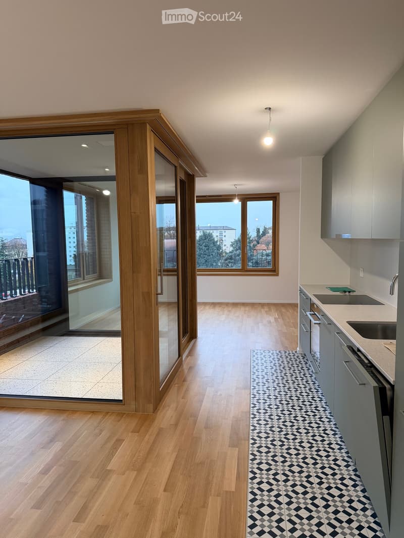 Modern kitchen with light wooden flooring, grey cabinets, and a black and white checkered rug. Features a large window with a view and a sliding glass door leading to a balcony.