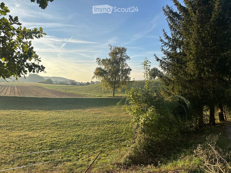 A peaceful rural landscape with a grassy field, trees, and a distant view of cultivated farmland under a clear blue sky.