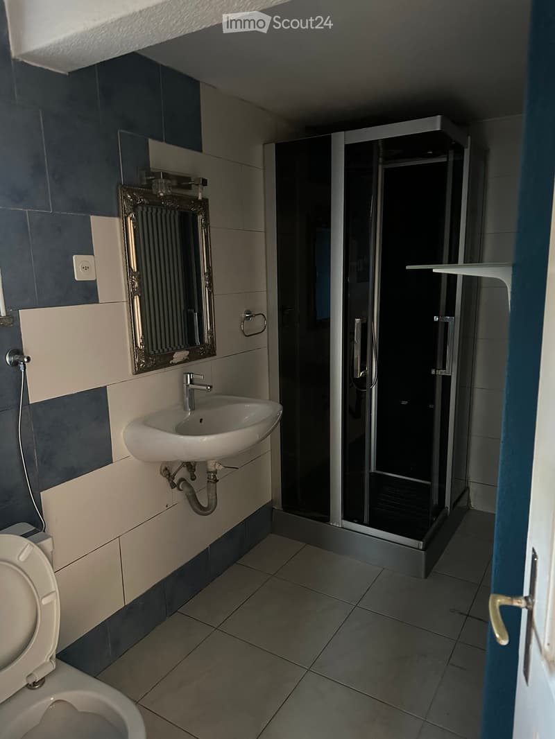 Modern bathroom with a white sink, toilet, and a glass-enclosed shower. Features a decorative mirror and dark blue tiles on the walls.