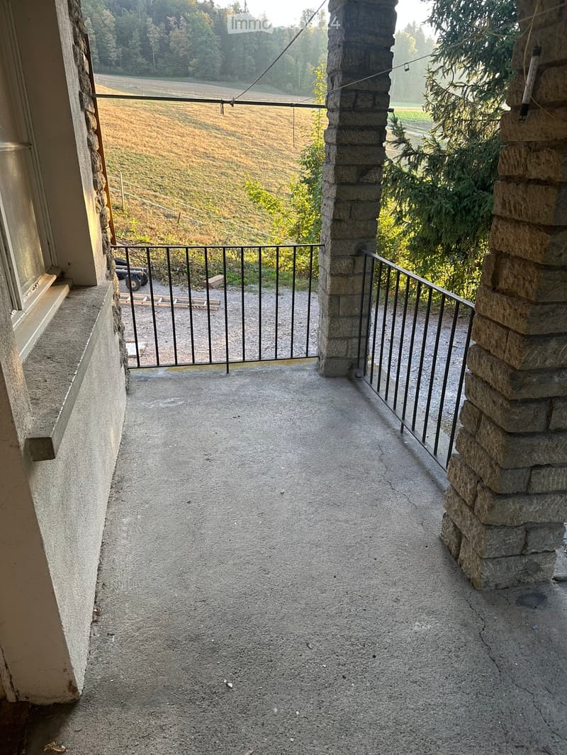 Concrete balcony with metal railing, stone pillars, and a view of a grassy field and trees.