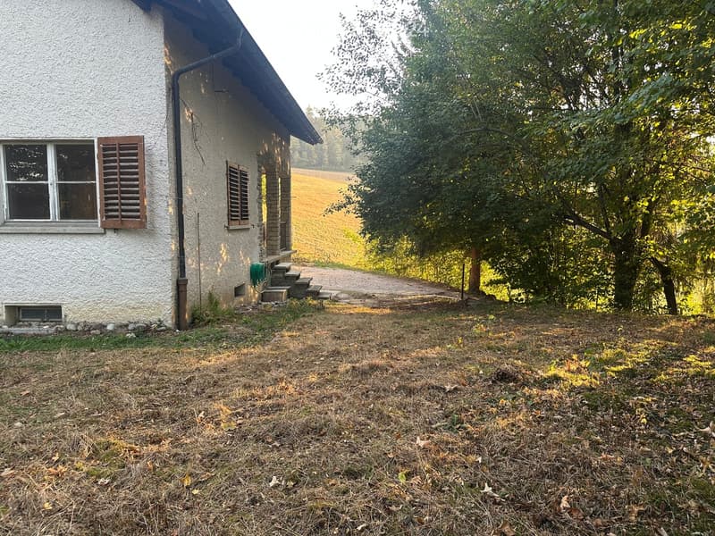 Single-story house with white exterior, wooden shutters, and a small porch with steps leading up to it. The yard is grassy with trees nearby.