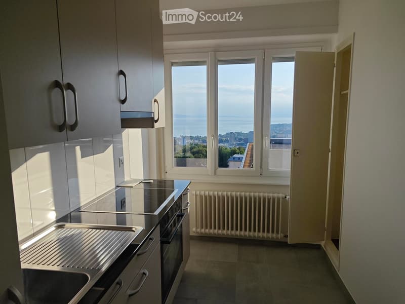 Modern kitchen with stainless steel oven, radiator, and large windows offering a scenic view.