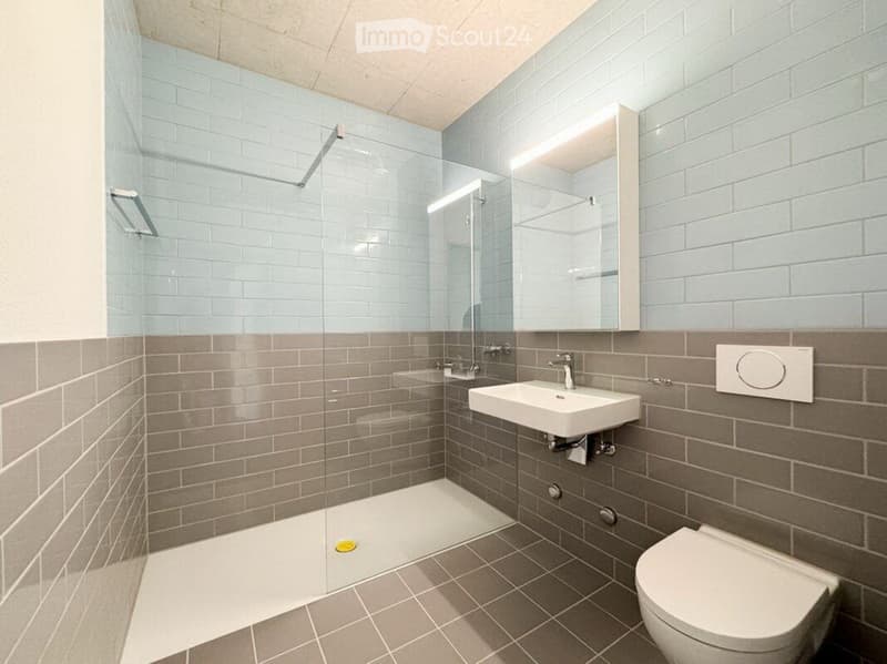Modern bathroom with grey tiles, white sink, toilet, and glass-enclosed shower area.