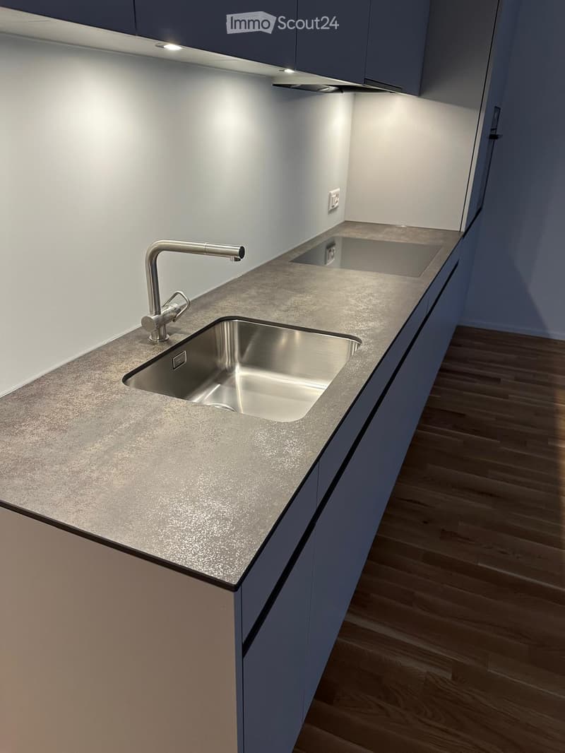 Modern kitchen with a stainless steel sink, sleek faucet, and grey countertops.