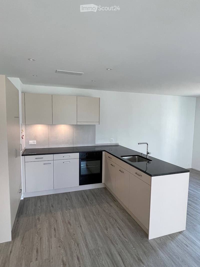 Modern kitchen with light-colored cabinets, black countertops, and a stainless steel sink and faucet. The floor is made of wood.