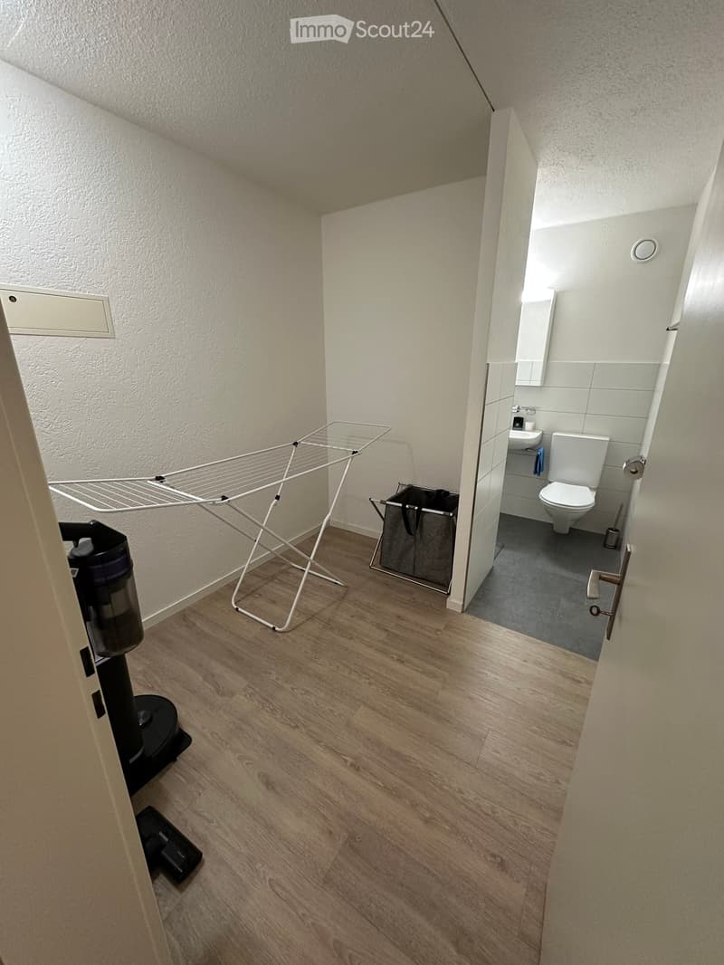 A small hallway leading to a bathroom with a toilet, sink, and mirror. The hallway has wooden flooring and a drying rack, along with a washing machine and a bin.