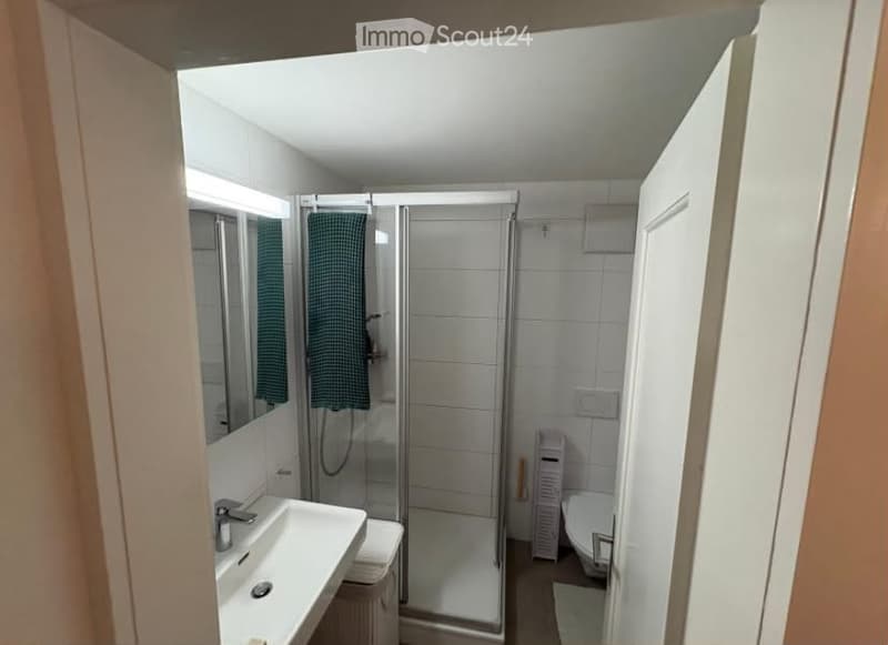 Modern bathroom with a white tiled shower, a sink with a mirror, and a toilet. The space is well-lit with a towel hanging on the shower door.