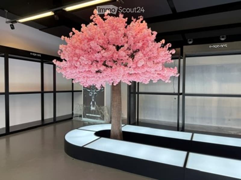Modern interior with a large artificial cherry blossom tree in the center, surrounded by sleek black and white furniture and glass display cases.