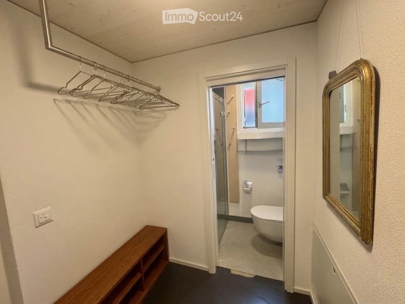 Small bathroom with a toilet, a large mirror with a decorative frame, and a wooden shelf in the hallway.
