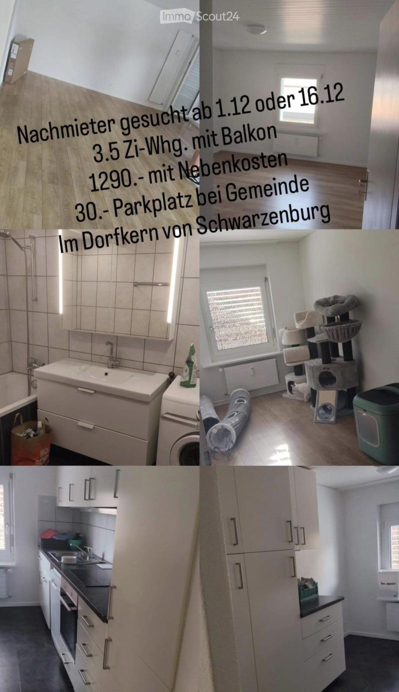 Composite image showing multiple rooms: a hallway with wooden flooring, a bathroom with a sink and shower, a room with a cat tree and litter box, a kitchen with cabinets and appliances, and a living area with built-in storage units.