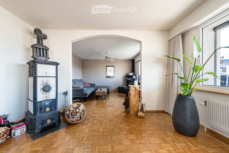 A modern living room with a wood stove, sofa, coffee table, armchair, large plant in a vase, and a view through an archway to another room.