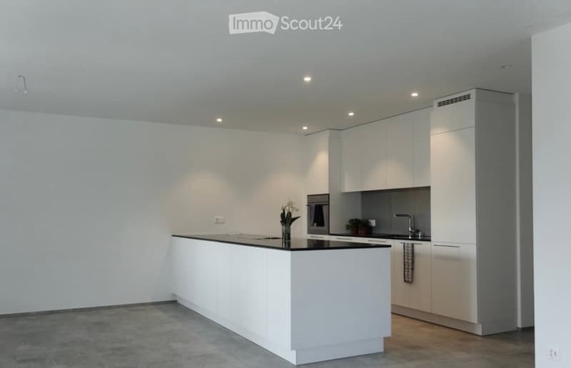 Modern kitchen with white cabinets, a central island, and built-in appliances. Features a sleek design with a grey backsplash and a small flower vase on the island.