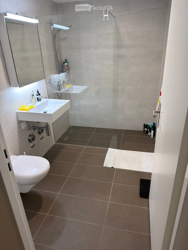 Modern bathroom with a white toilet, sink, and shower area. Features include a large mirror, tiled walls, and a small rug on the floor.