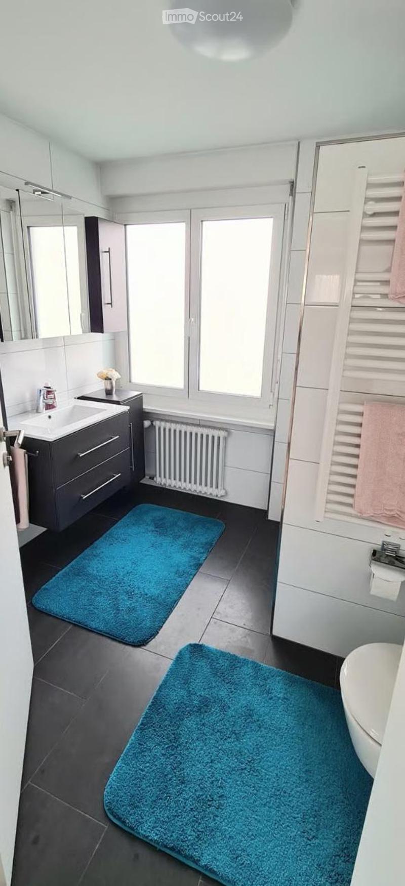 Modern bathroom with dark tiled floor, white walls, large window, sink with cabinet, mirror, radiator, and two blue rugs.