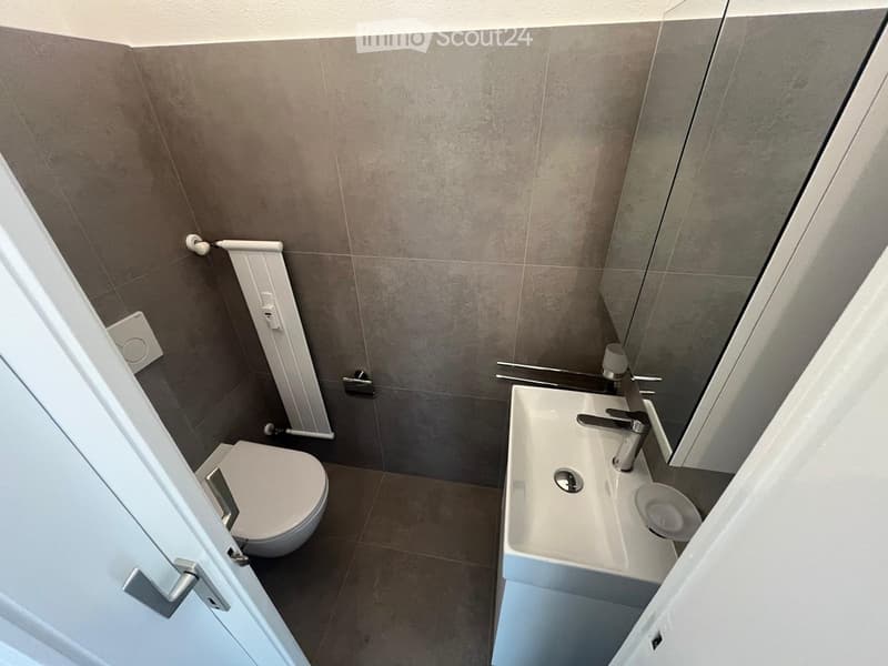 Modern bathroom with a toilet, sink, and faucet, featuring grey tiled walls and a glass shower enclosure.