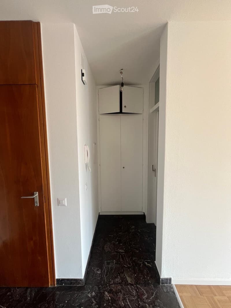 A narrow hallway with white walls, dark marble flooring, and a wooden door on the left side. A small white cabinet is visible in the background.