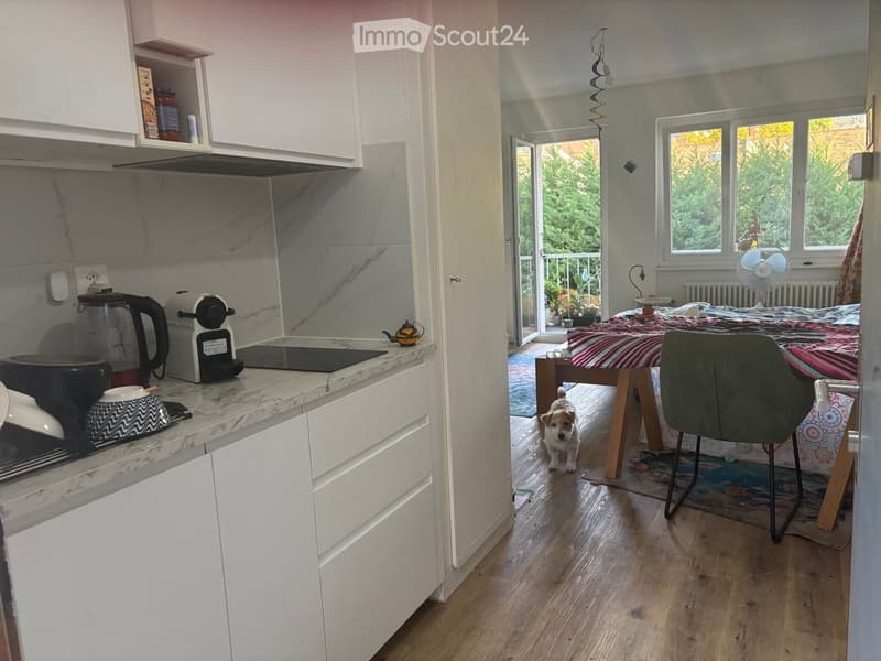 A modern kitchen with white cabinets, marble countertops, and various appliances, connected to a bedroom with a bed, a chair, and a small dog.