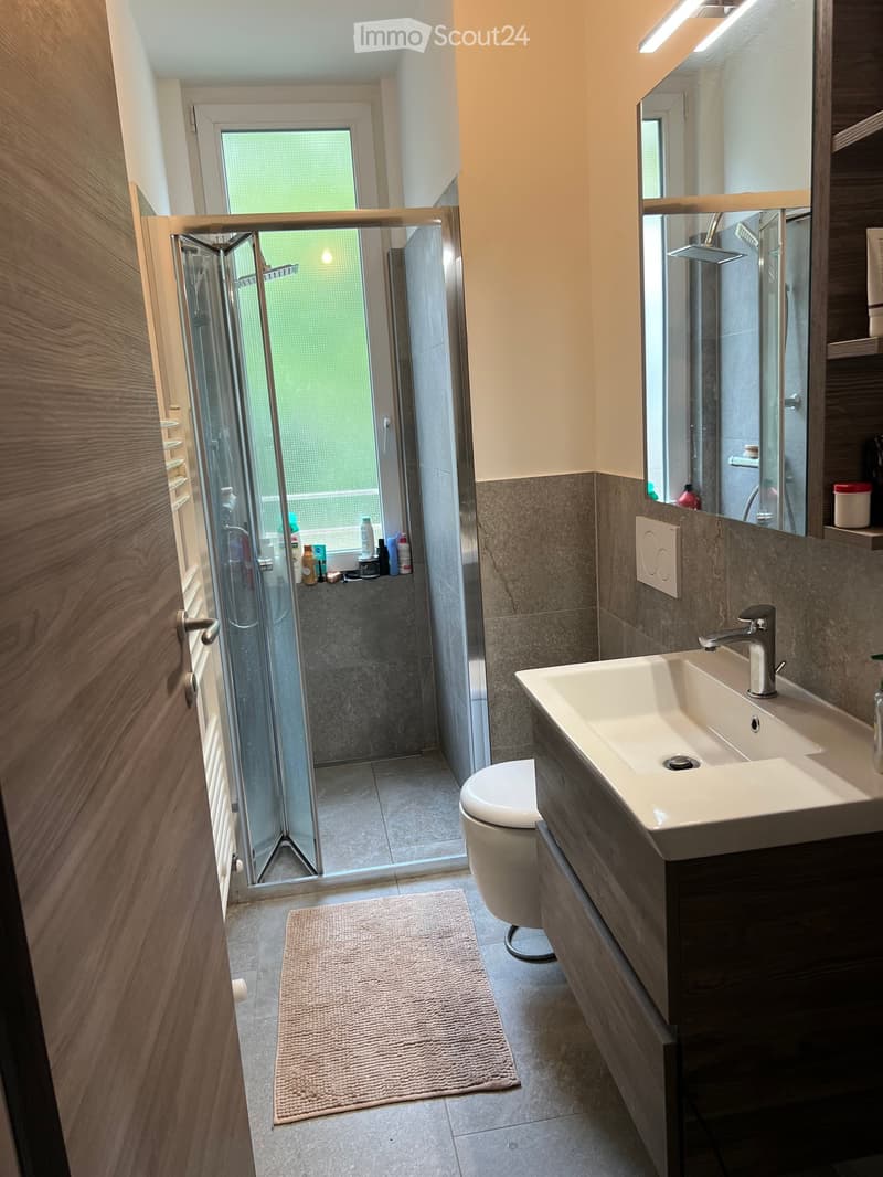 Modern bathroom with a white sink, toilet, shower, and mirror. Features a wooden cabinet, tiled walls, and a beige rug on the floor.