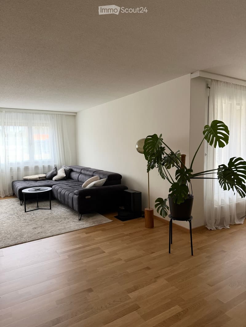 Modern living room with a dark grey sectional sofa, white throw pillows, a small black coffee table, a floor lamp, and a large leafy plant in a pot. The room features light wooden flooring and large windows with white curtains.