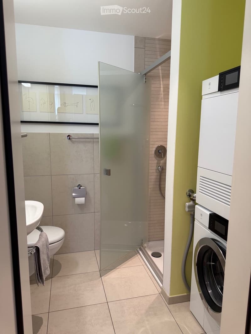 Modern bathroom with a glass-enclosed shower, toilet, sink, and a washing machine. Features include a towel hanging on a rack and a mirror with decorative artwork.