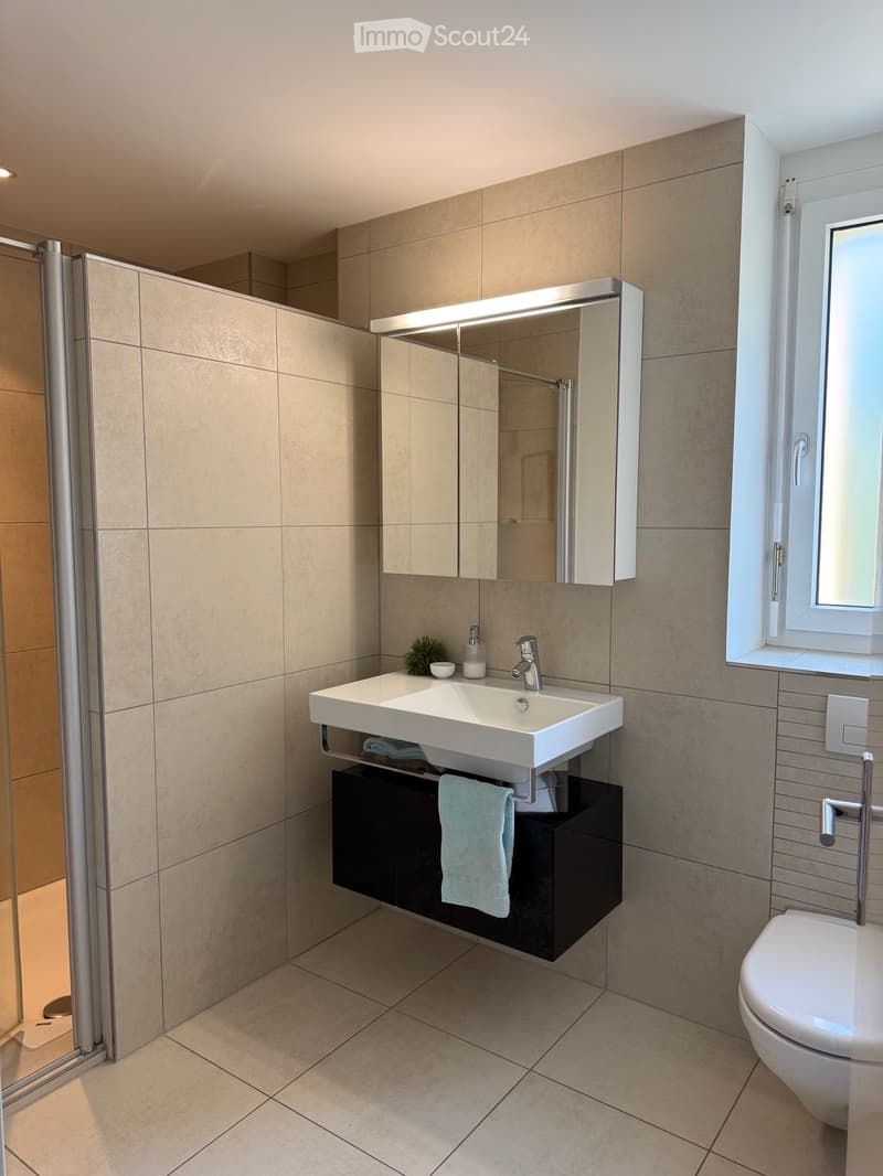Modern bathroom with a white sink, mirrored cabinet, dark wooden cabinet, and a glass-enclosed shower area.