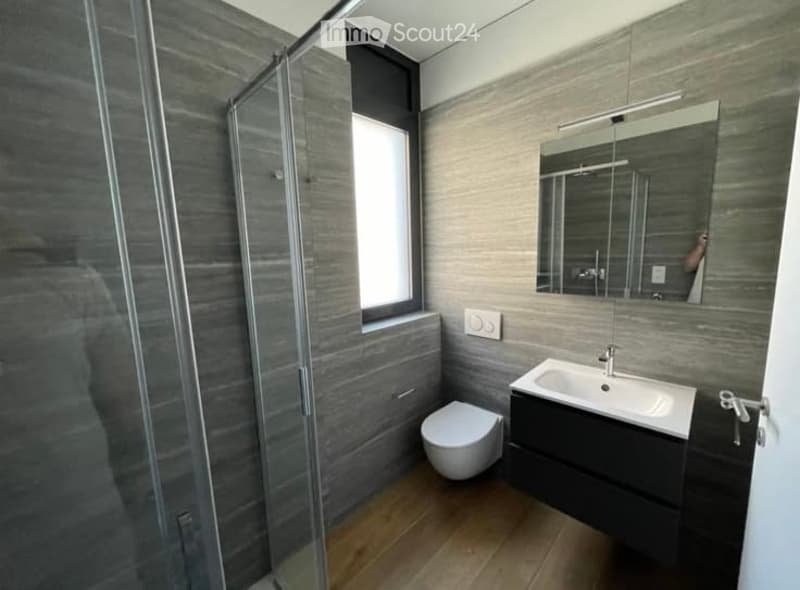 Modern bathroom with grey tiled walls, a large mirror above the sink, a toilet, and a glass-enclosed shower area.