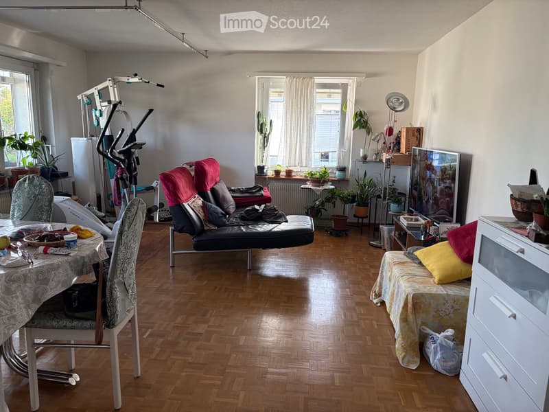 A multi-purpose room with wooden flooring, a mix of seating including a sofa and chairs, a small table, exercise bike, and several potted plants near the windows.