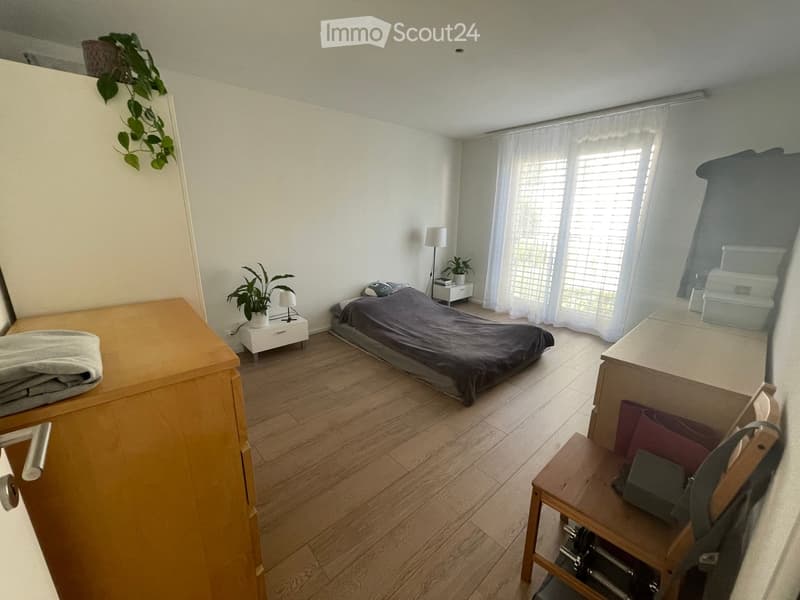 Modern bedroom with wooden flooring, a large bed with dark bedding, a nightstand with a lamp, a small plant, and a mirror on the wall.