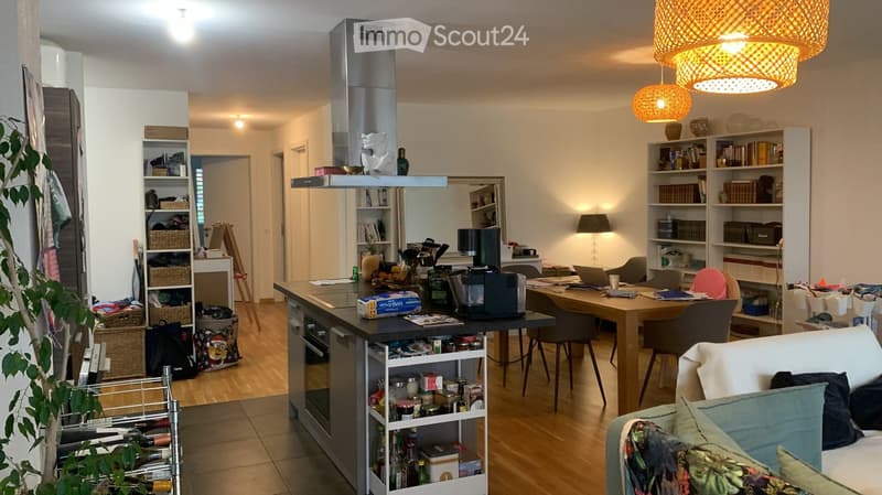 Modern open-plan living and dining area with a sofa, coffee table, kitchen island, dining table, and various storage shelves.
