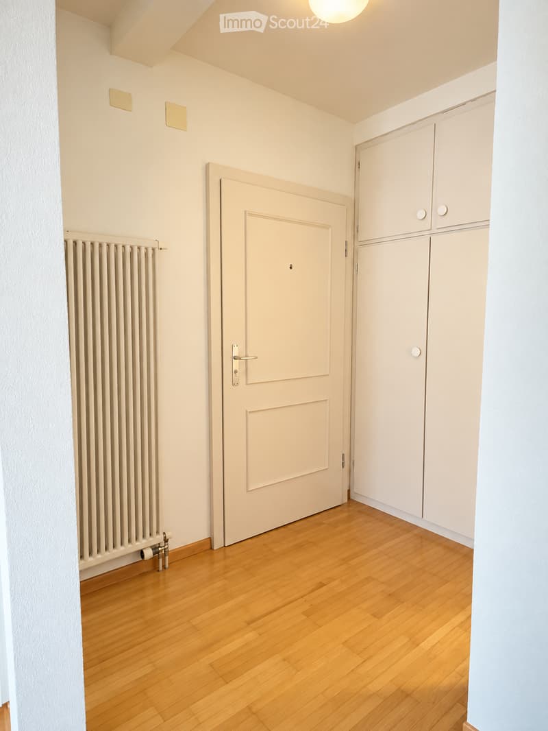 A narrow hallway with wooden flooring, white walls, a closed door, and built-in cabinets.