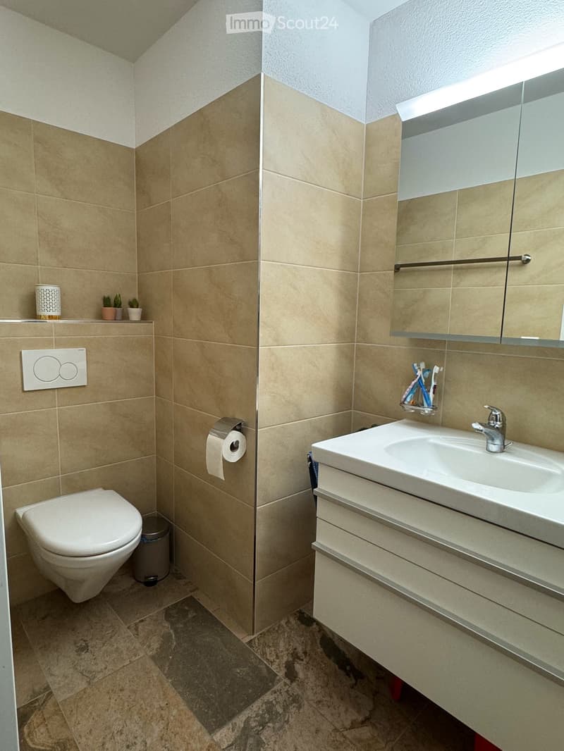 Wohnen mit Weitsicht mitten in Lenzburg - grosszügige 4.5-Zimmer-Wohnung im Villenpark (7)