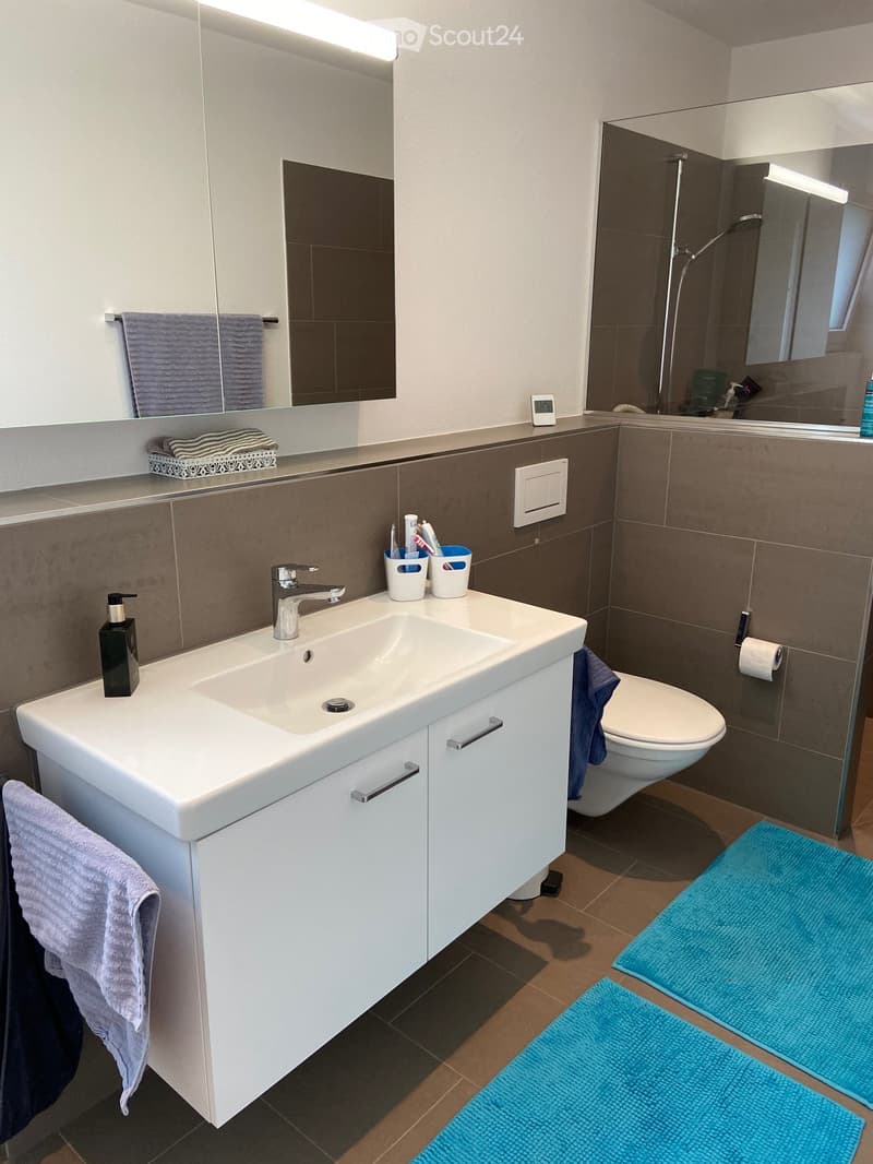 Modern bathroom with a white sink, chrome faucet, toilet, large mirror, and blue bath mats on the floor.