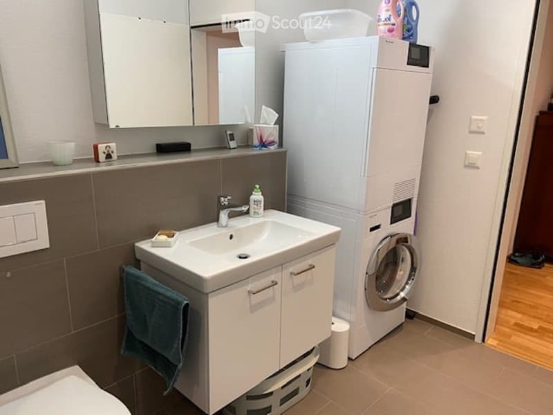 Modern bathroom with a white sink, mirror, towel, and a washing machine in the corner.