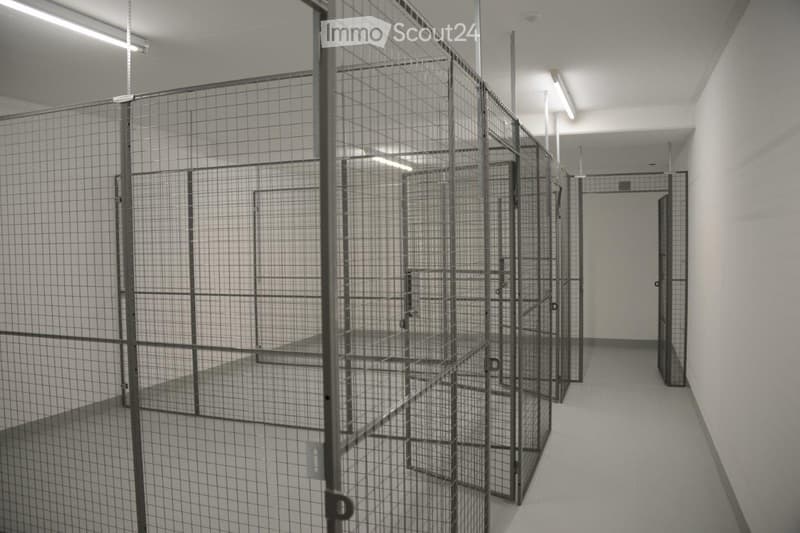 A long, narrow corridor with multiple secure, metal-caged enclosures lining both sides, featuring a smooth concrete floor and white walls.