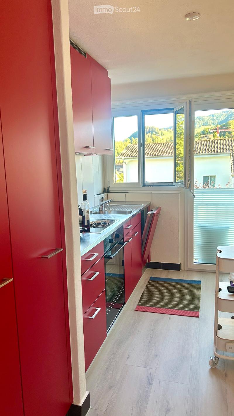 Modern kitchen with red cabinets, stainless steel sink, oven, and a bottle on the counter. Large windows offer a scenic view of the surrounding landscape.