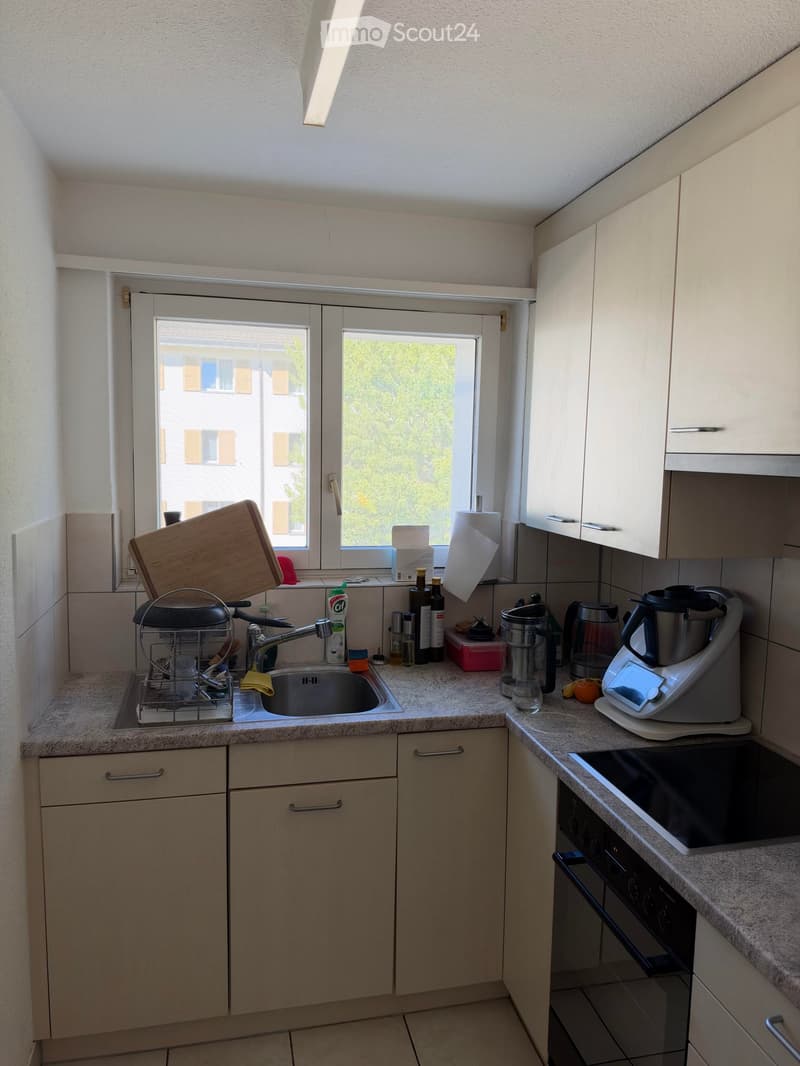 {"type": "Kitchen", "objects": ["sink", "faucet", "dish rack", "oven", "blender", "coffee maker", "bottle", "cutting board", "oven mitt", "oven", "faucet", "oven", "oven", "oven", "oven", "oven", "oven", "oven", "oven", "oven", "oven", "oven", "oven", "ov