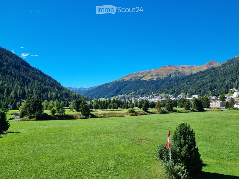 A wide, green meadow with scattered trees and a small stream, surrounded by forested hills and mountains. A Swiss flag is visible on a pole in the foreground.